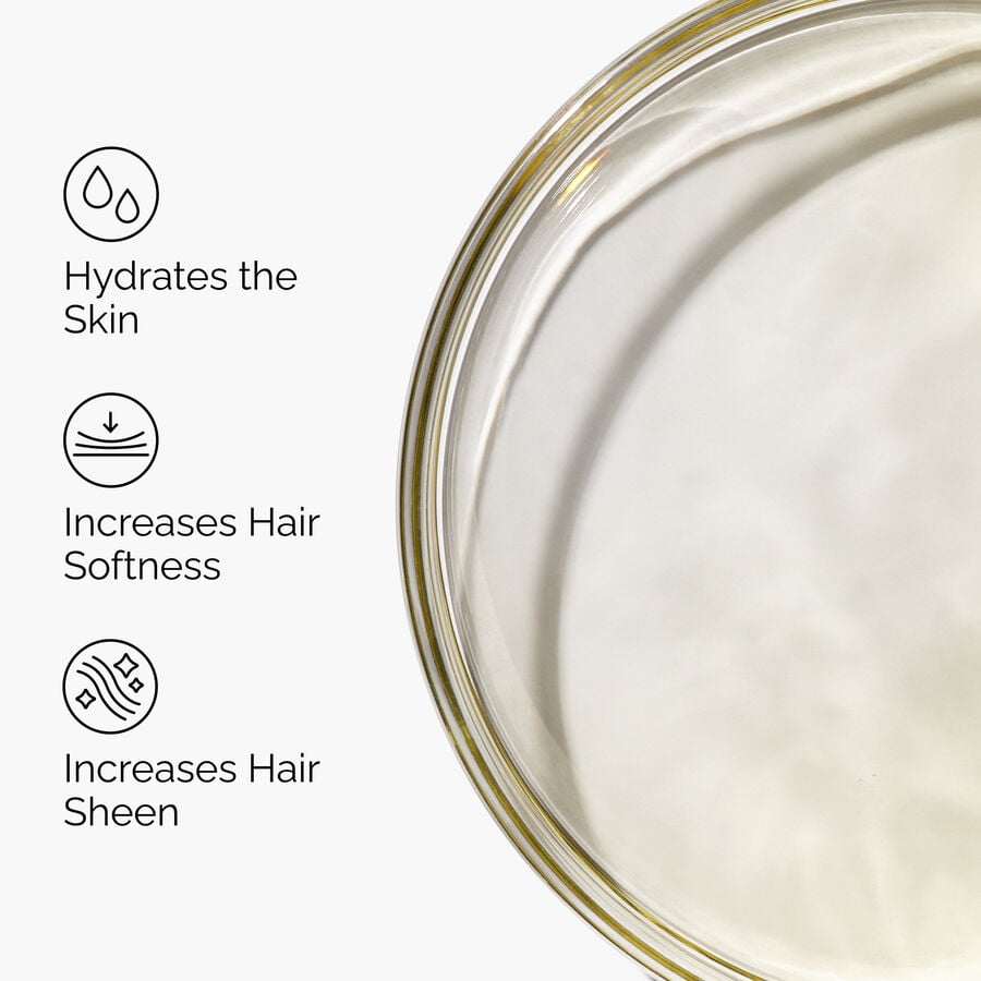 100-organic-cold-pressed-moroccan-argan-oil-b5 FY25-D41247-ORD-Web-PDP-100-Argan-Oil-1x1-EN-3.jpg