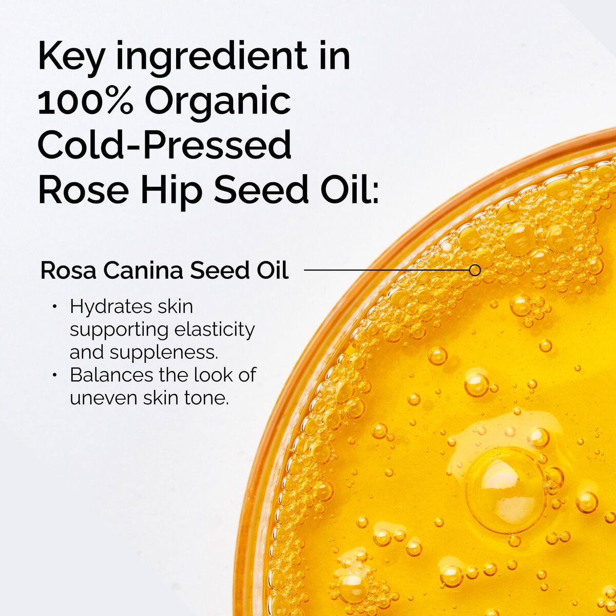 100-organic-cold-pressed-rose-hip-seed-oil-e3 FY25-D41247-ORD-Web-PDP-100-Rose-Hip-Oil-1x1-EN-2.jpg