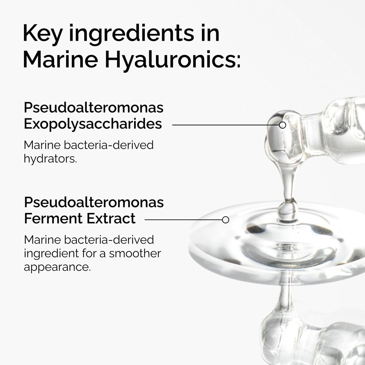 marine-hyaluronics-q5 FY25-D41247-ORD-Web-PDP-Marine-Hya-1x1-EN-2a.jpg