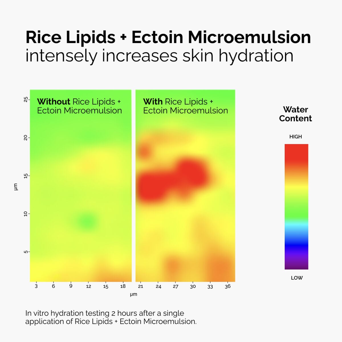 rice-lipids-ectoin-microemulsion-x3 ord-rice-lipids-ectoin-microemulsion-thermal-before-after.jpg